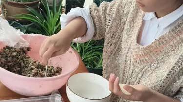 【优化营商环境】编钟初级中学七年级道法实践作业温暖纪实