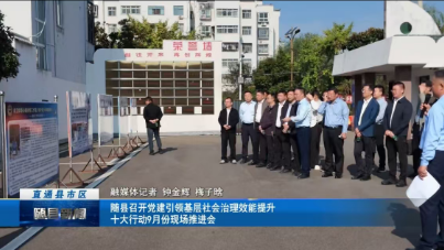 随县召开党建引领基层社会治理效能提升十大行动9月份现场推进会