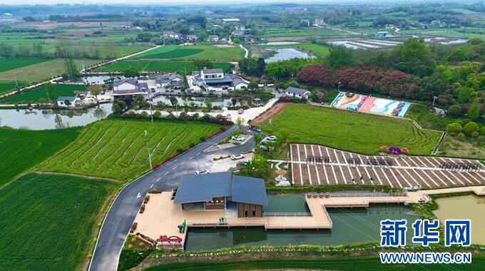 湖北钟祥：以“桥”为媒 蹚出乡村振兴幸福路