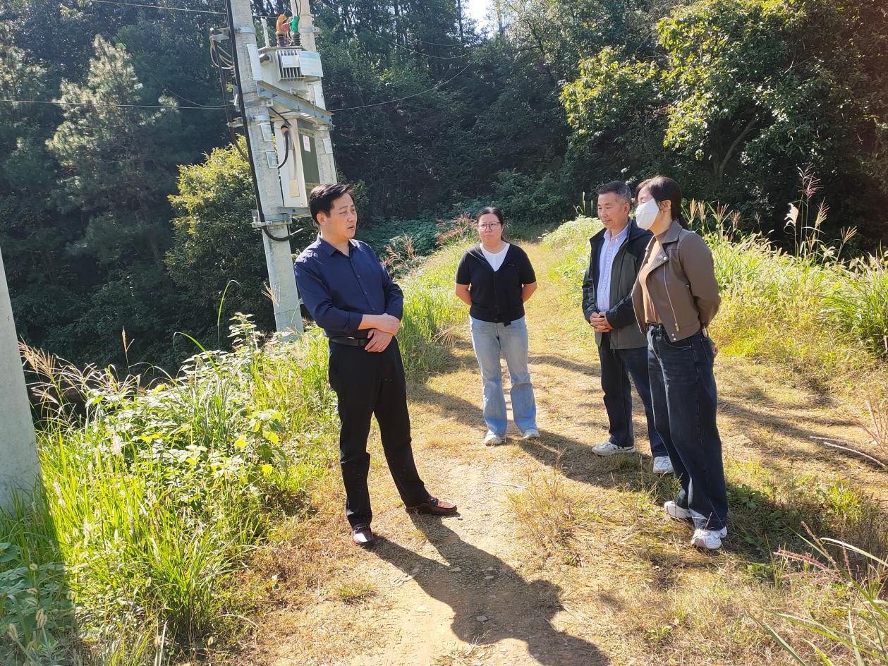 现场把脉危堰隐患 精准施策护民安——长岗镇调研大洪山村南瓜堰除险整治工作