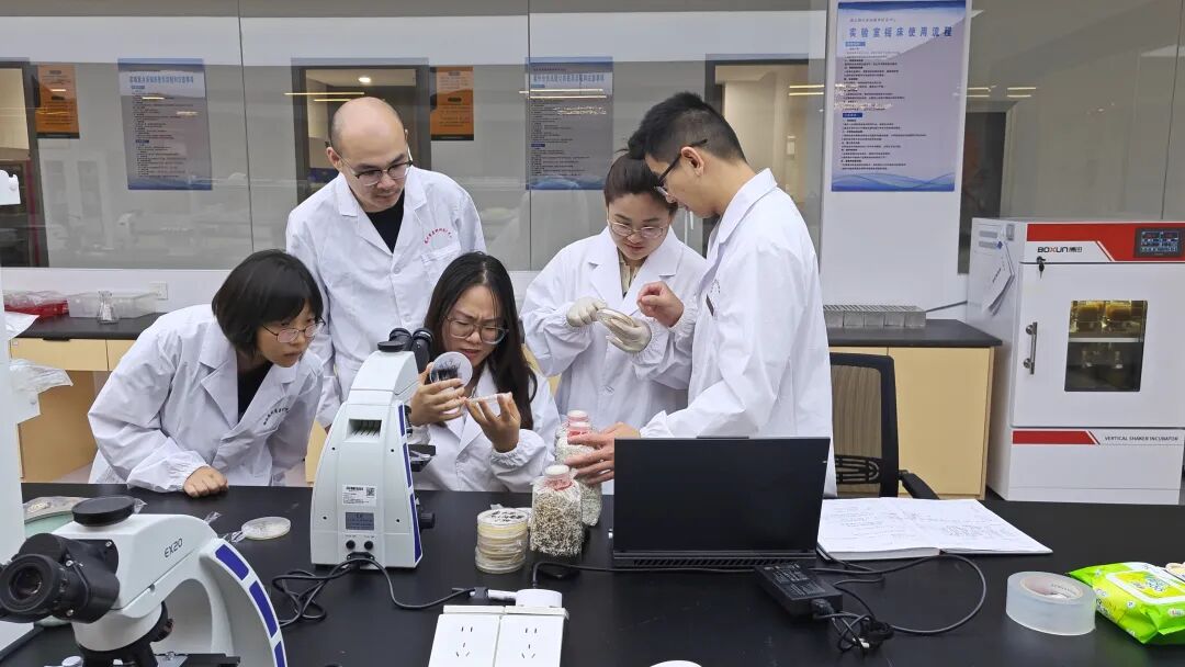 青年科创赋能菌乡振兴 随州香菇科研项目获省级立项
