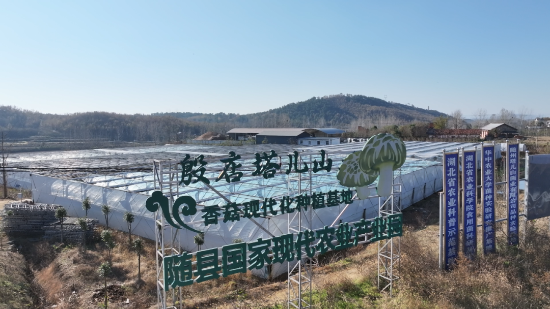菇乡带头人李胜：把小香菇做成乡亲们的致富菇