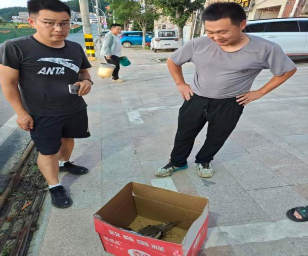 “体力透支，申请暂停！” 暖心接力守护迁徙夜鹭