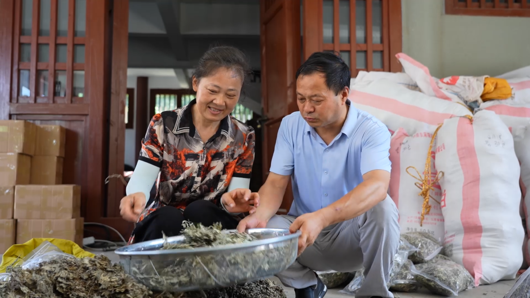 神农大白艾：非遗技艺赋能 千年艾香走进寻常生活