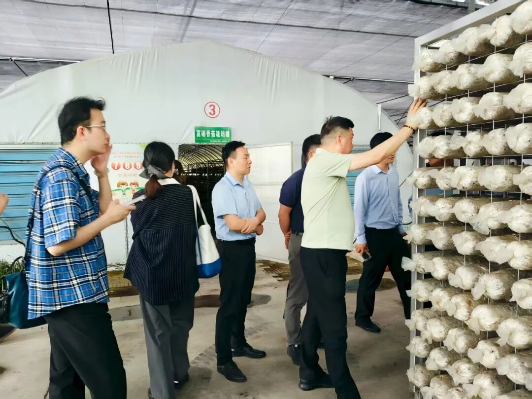 科研攻关强菇业！随县专家工作站入选省科协优秀工作案例