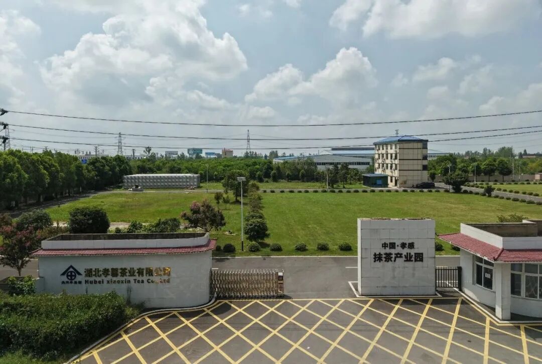 从原料输出到品牌输出，一片叶子的“精贵”之旅！