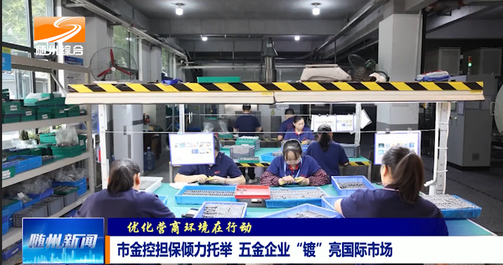 《优化营商环境在行动》 市金控担保倾力托举  五金企业“镀”亮国际市场